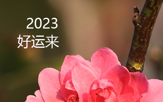 2023 為每一位正在前行的朋友祝福